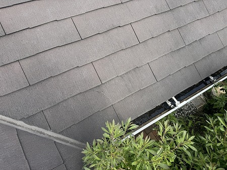 カラーベスト縦割れ