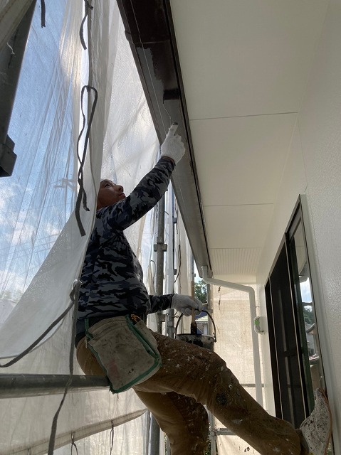 雨樋塗装をしているところ