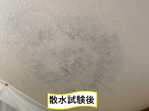 散水試験後