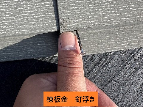 伊奈町パミール屋根　棟板金釘浮き指で比較