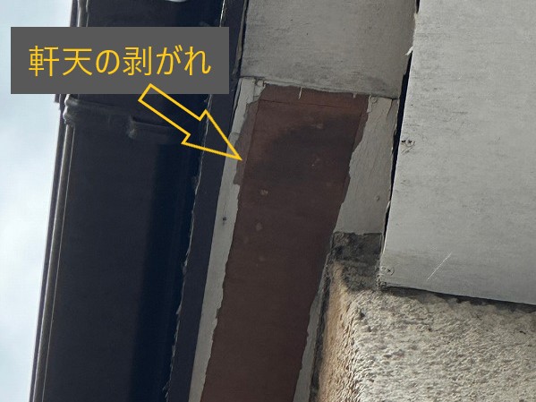 屋根の点検と調査