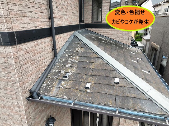 変色、コケやカビ