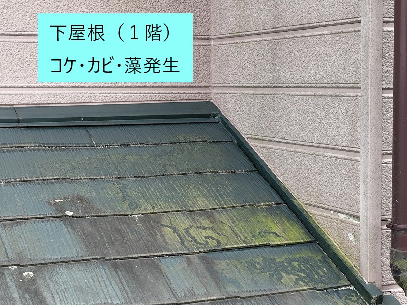 屋根の無料点検を実施