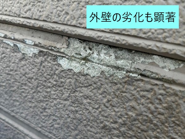 屋根の無料点検を実施