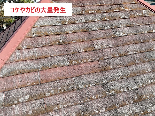 屋根工事会社の無料点検！ここまでやります(*'ω'*)