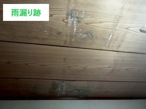 雨漏り点検　屋根裏点検をしたら・・・光が入り込んでいましたΣ(ﾟДﾟ)