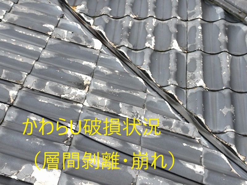 屋根の点検と調査