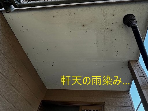 屋根の無料点検を実施