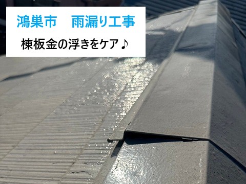 棟板金交換工事　樹脂製に変更して安心安全♪
