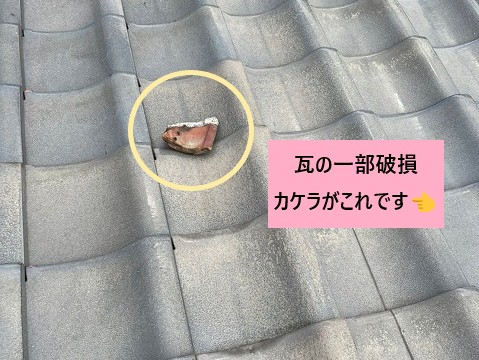 破損した瓦のカケラが屋根の上に乗っています