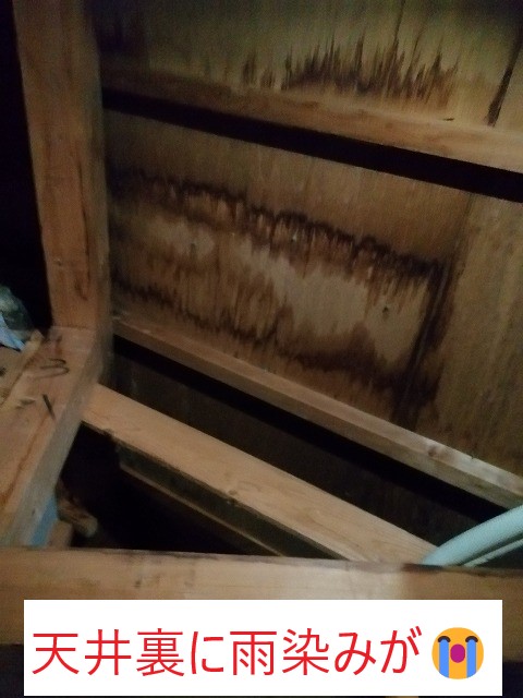 天井裏雨染み