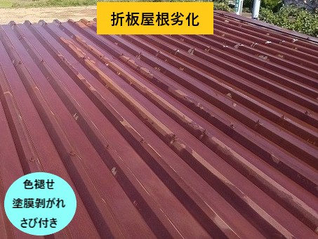 伊奈町折板屋根劣化