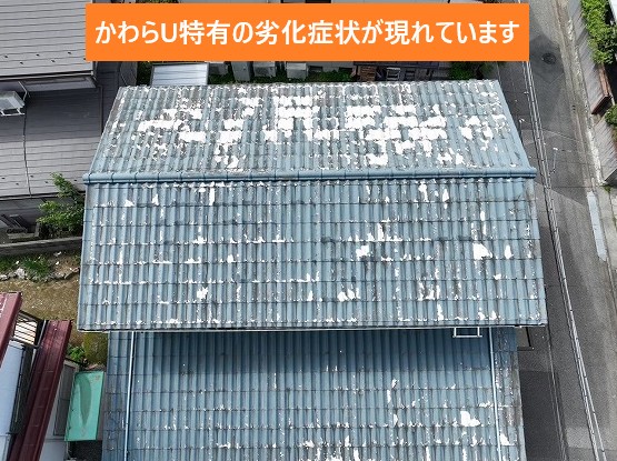 かわらU特有の劣化症状