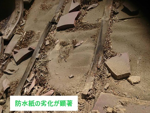 瓦屋根の葺き直し　瓦のメンテナンス方法をご紹介