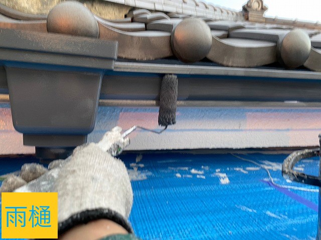 雨樋