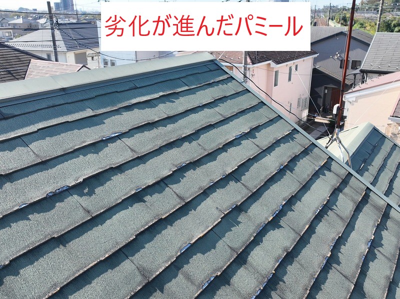 劣化が進んだパミール