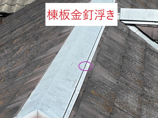 棟板金釘浮き