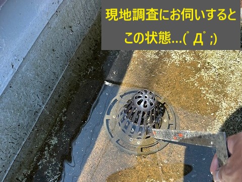 飲食店の屋根から雨漏り　原因追及で応急措置