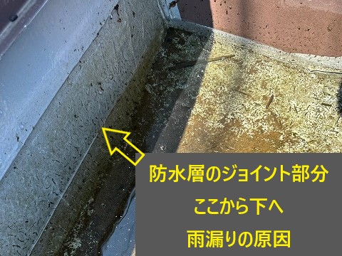 飲食店の屋根から雨漏り　原因追及で応急措置