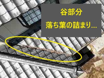 雨押え・棟・笠木部分より雨漏りの発生