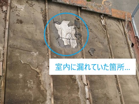 屋根の不具合箇所発見