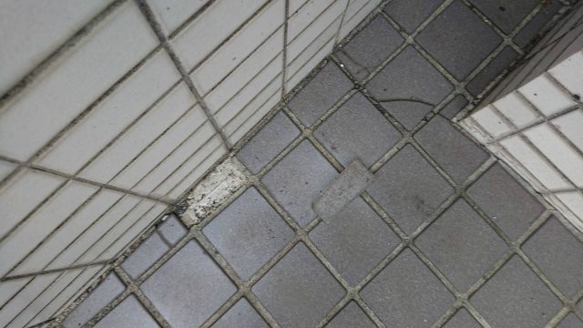玄関タイル破損