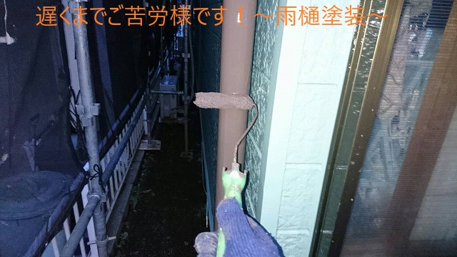 雨樋を塗装します