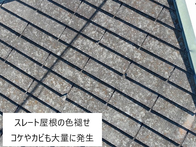 屋根の種類や修理方法・相場をご紹介