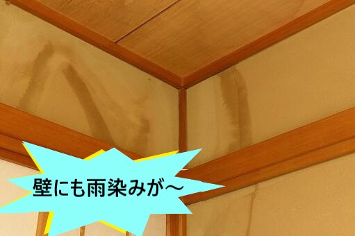 雨染み