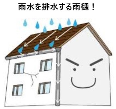 雨樋掃除　掃除のポイントと落ち葉除けネットのお勧めをご紹介♪