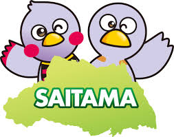 蓄電池の後付け！太陽光発電だけで本当に大丈夫？