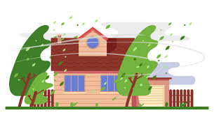 雨樋掃除　掃除のポイントと落ち葉除けネットのお勧めをご紹介♪