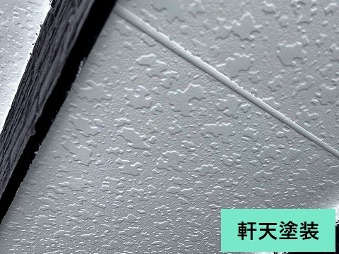 外壁塗装　個性的なブラック系塗料使用