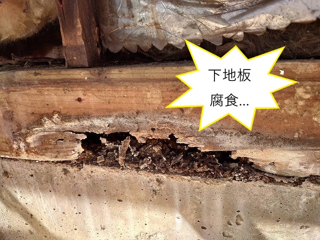 モルタル外壁修理