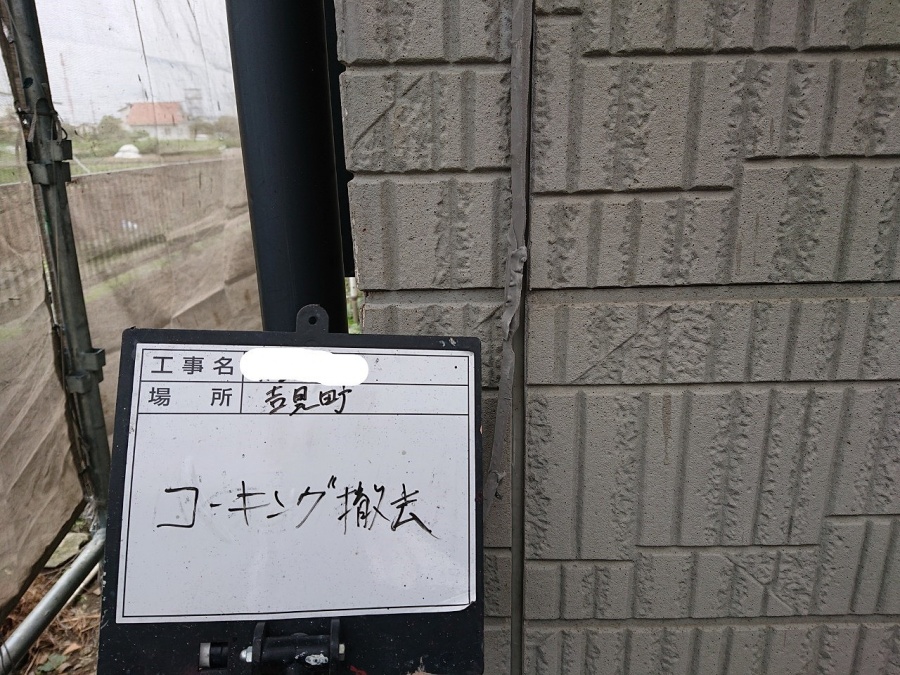 シール撤去　写真