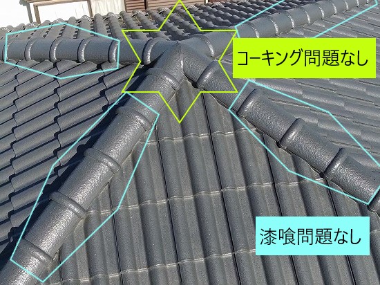 飛び込み業者に指摘された屋根に問題なし