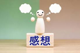 カーポート屋根　波板破損→ポリカの波板へ交換