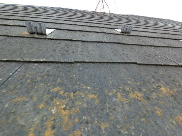 屋根の変色