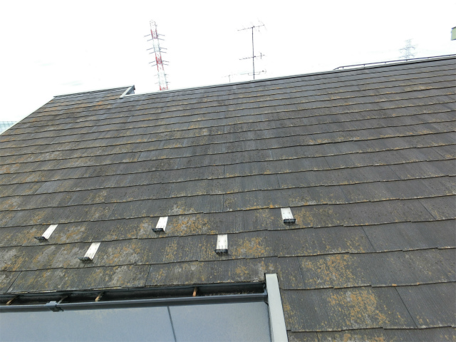 屋根の変色