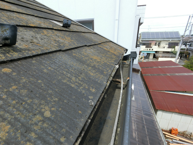 屋根の変色