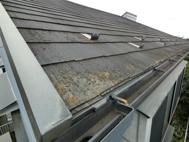 屋根塗装剥がれ