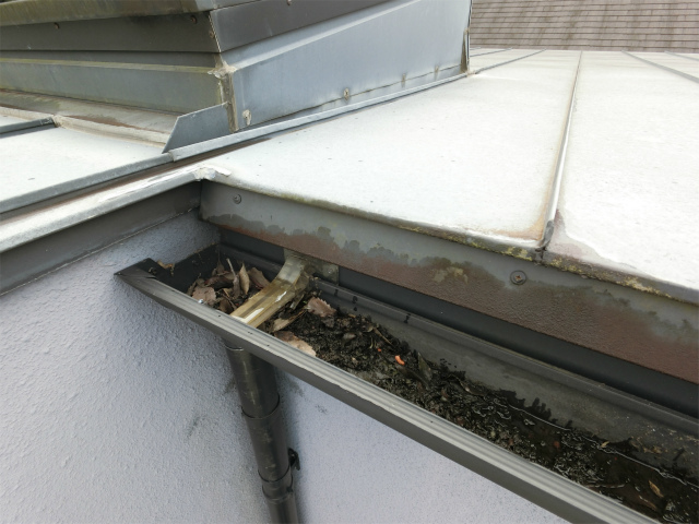 雨樋の詰まり
