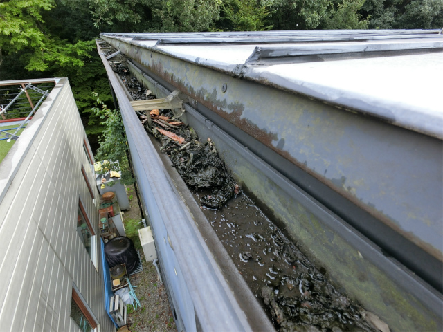 雨樋の詰まり