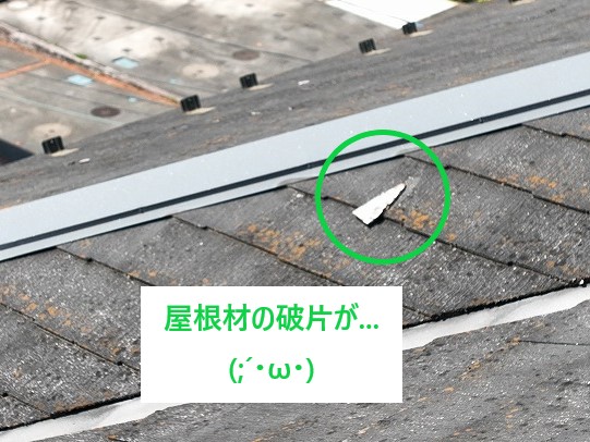 屋根材の破片