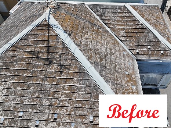 屋根重ね葺き（カバー工法）現地調査写真