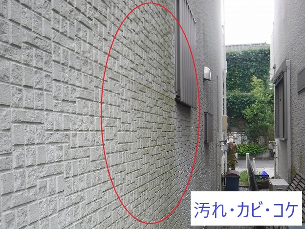 外壁汚れかび