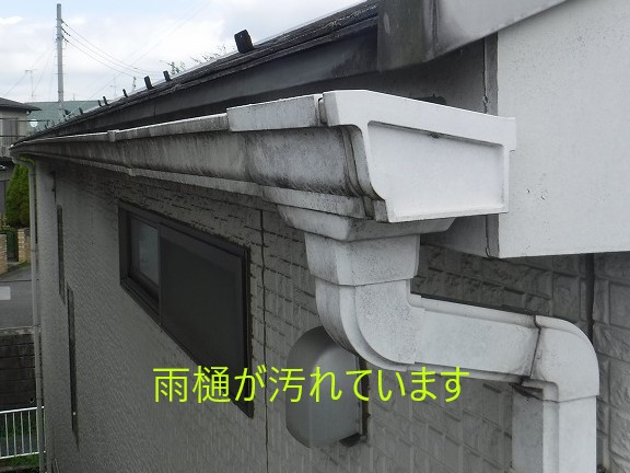 雨樋汚れ