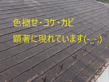 棟板金が飛んでしまった被害多発