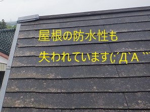 棟板金が飛んでしまった被害多発