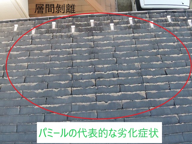 パミール層間剝離